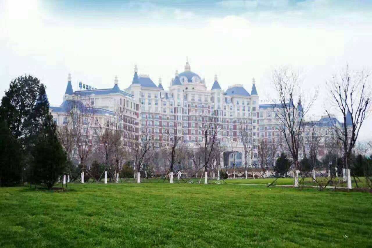 �������ͺ����Ƶ�